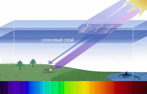 Защита от ультрафиолетового излучения